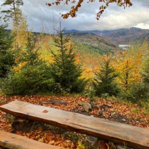 Siła woli – Twój wewnętrzny rozruch. Jesienny weekend z jogą.