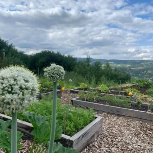 Uspokój ciało – listopadowy weekend z jogą.